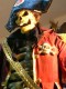 Caribbean Pirat