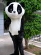 Mascot Panda