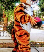 Kaplan maskot tiger mascot