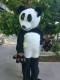 panda2
